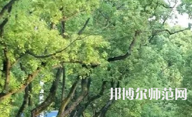 湖南理工師范學(xué)院南湖學(xué)院2023年報(bào)名條件、招生要求、招生對象