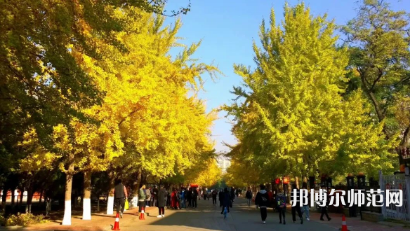 遼寧大學師范學院崇山校區(qū)2023年報名條件、招生要求、招生對象