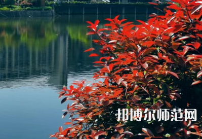 南華大學(xué)船山師范學(xué)院雨母校區(qū)2023年報(bào)名條件、招生要求、招生對(duì)象