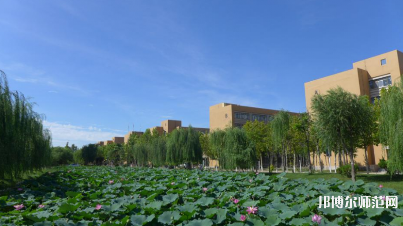 東營職業(yè)師范學(xué)院2023年報(bào)名條件、招生要求、招生對(duì)象 