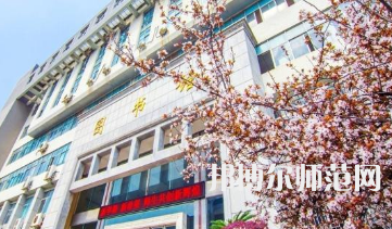 南華師范大學(xué)雨母校區(qū)2023年報(bào)名條件、招生要求、招生對(duì)象