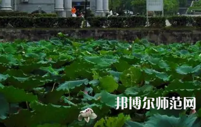 南華師范大學紅湘校區(qū)2023年報名條件、招生要求、招生對象