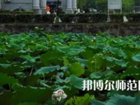 南華師范大學(xué)紅湘校區(qū)2023年報(bào)名條件、招生要求、招生對(duì)象