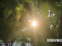 咸陽職業(yè)技術(shù)師范學(xué)院2023年報名條件、招生要求、招生對象