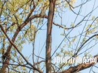 湖南大學(xué)師范學(xué)院南校區(qū)2023年怎么樣、好不好