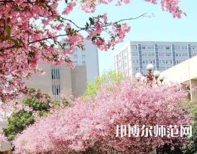 中國礦業(yè)師范大學徐海學院2023年報名條件、招生要求、招生對象