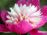海南師范大學(xué)2023年報(bào)名條件、招生要求、招生對象