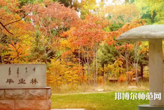 內(nèi)蒙古大學(xué)師范學(xué)院滿(mǎn)洲里學(xué)院2023年有哪些專(zhuān)業(yè)
