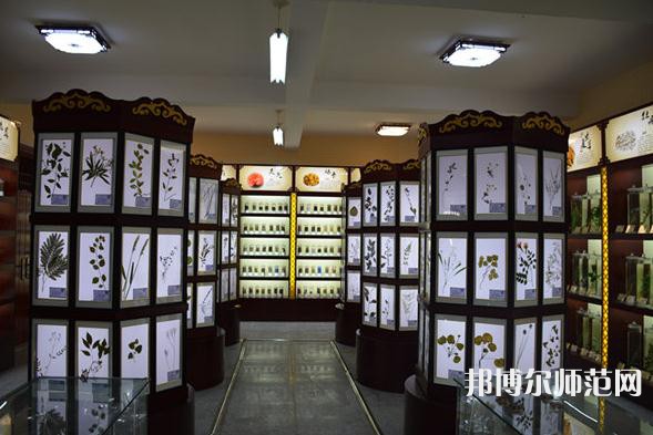 銅川職業(yè)技術(shù)師范學(xué)院2023年學(xué)費、收費多少