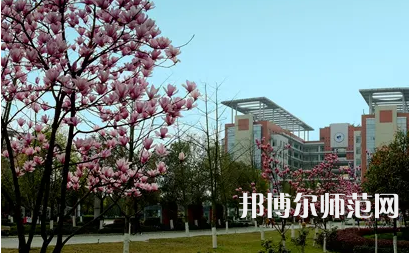 長(zhǎng)江師范學(xué)院2023年報(bào)名條件、招生要求、招生對(duì)象 
