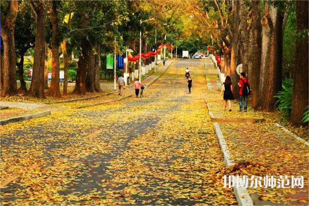 海南大學(xué)師范學(xué)院海甸校區(qū)2023年報名條件、招生要求、招生對象 