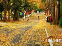 海南大學(xué)師范學(xué)院海甸校區(qū)2023年報(bào)名條件、招生要求、招生對象