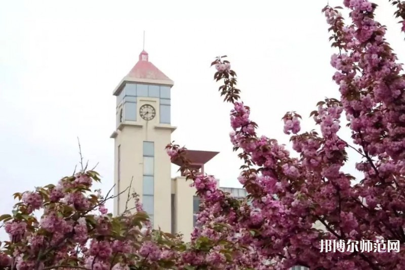 青島師范大學(xué)金家?guī)X校區(qū)2023年報(bào)名條件、招生要求、招生對(duì)象 