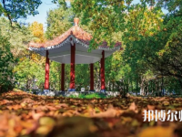黑龍江師范大學2023年報名條件、招生要求、招生對象