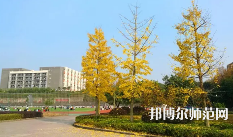 重慶幼兒師范高等?？茖W校梨園校區(qū)2023年是幾本
