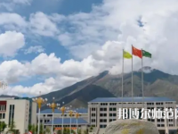 拉薩師范高等?？茖W(xué)校2023年招生代碼