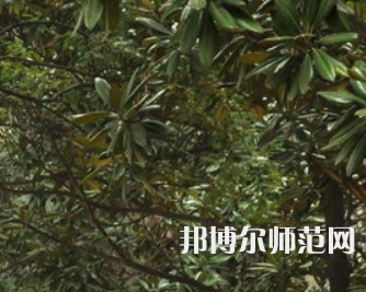 湖南師范大學(xué)樹(shù)達(dá)學(xué)院2023年學(xué)費(fèi)、收費(fèi)多少