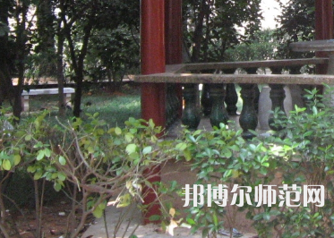 湖南師范大學(xué)樹達學(xué)院2023年有哪些專業(yè)