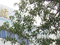湖南師范大學樹達學院2023年怎么樣、好不好