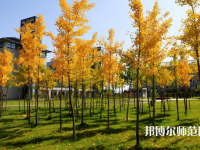 瀘州幼師職業(yè)技術(shù)學校2023年學費、收費多少