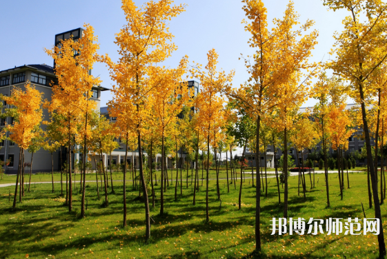 瀘州啟明幼師職業(yè)技術(shù)學(xué)校2023年報(bào)名條件、招生要求、招生對(duì)象