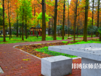 長江大學(xué)文理學(xué)院2023年怎么樣、好不好