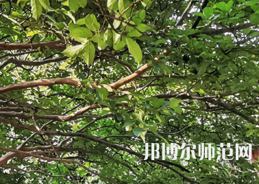 湖南師范大學(xué)2023年報(bào)名條件、招生要求、招生對象