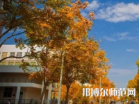 南京師范大學(xué)泰州學(xué)院2023年報(bào)名條件、招生要求、招生對(duì)象