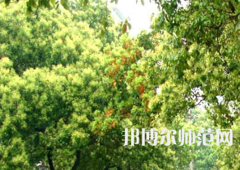 衡陽師范學(xué)院南岳學(xué)院2023年怎么樣、好不好