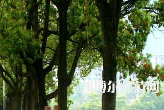 衡陽師范學(xué)院南岳學(xué)院2023年怎么樣、好不好