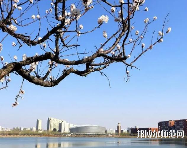天津理工師范大學(xué)2023年報(bào)名條件、招生要求、招生對象