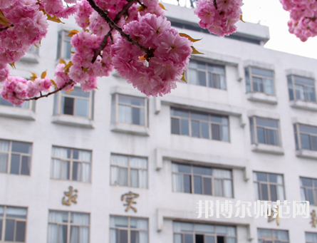 淮陰師范學(xué)院2023年報(bào)名條件、招生要求、招生對象