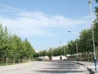 西北大學(xué)師范學(xué)院太白校區(qū)2023年報(bào)名條件、招生要求、招生對象