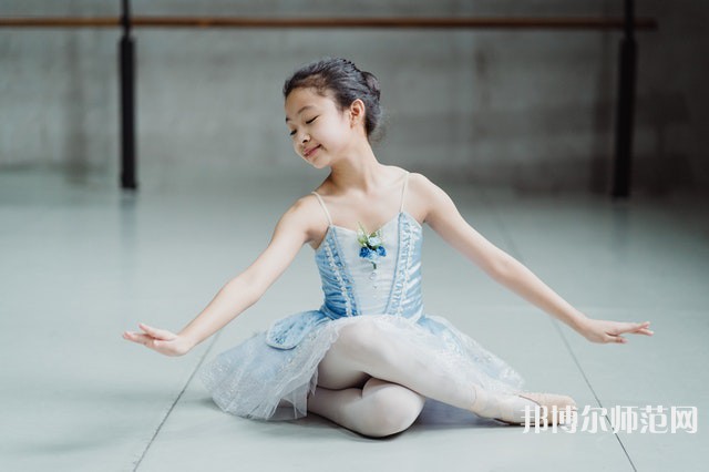 南充電子工業(yè)幼兒師范學校介紹、地址